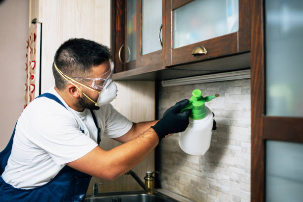 Best Pest Prevention Services  in Lynbrook, NY