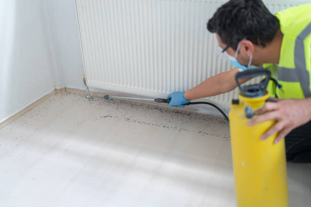  Lynbrook, NY Pest Control Pros
