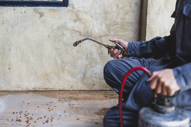 Best Pest Removal Services  in Lynbrook, NY