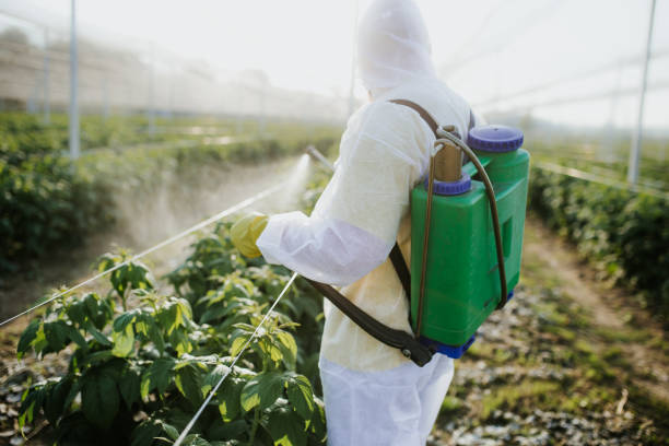 Flea Control Services in Lynbrook, NY